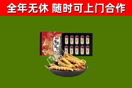 池州回收冬虫夏草价格